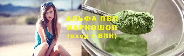 индика Верхний Тагил